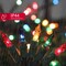 Christmas String Light,100 Count Incandescent Mini String Light in 21.6ft,Indoor/Outdoor 120V UL Certified Mini Light for Christmas